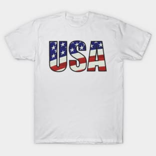 USA Embroidered Font T-Shirt